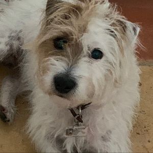 Meet your Posher, Ariana